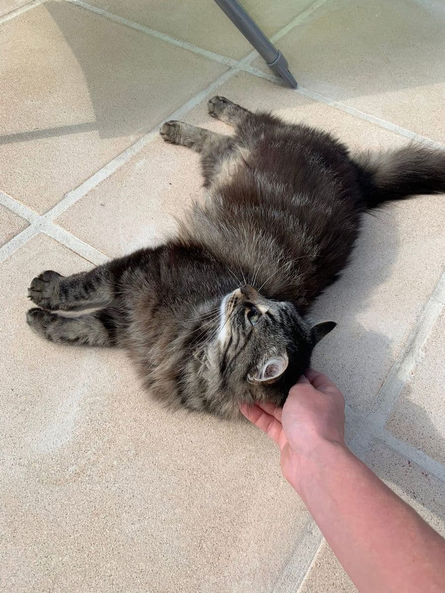 Mia
